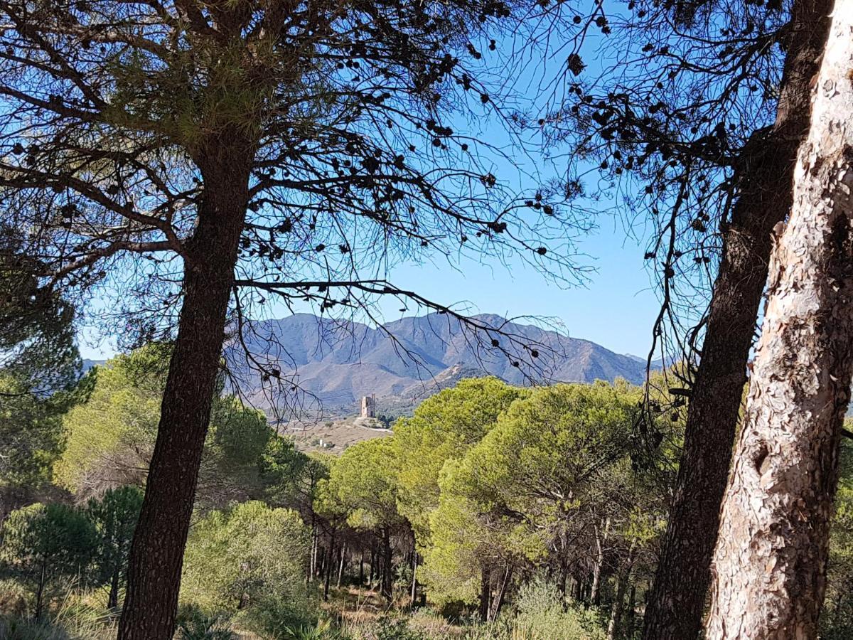Naranja - Oase Van Rust Villa Malaga